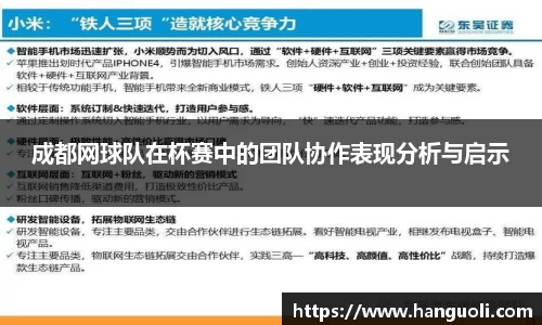 成都网球队在杯赛中的团队协作表现分析与启示